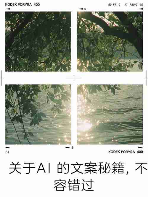 不容错过的秘诀