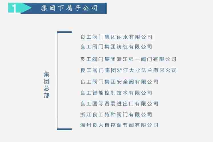 澳洲5技巧大放送——抓住机遇，开启未来！