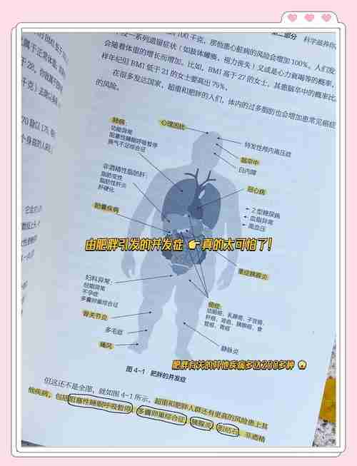 为什么澳洲人活得又长又健康？三大秘诀揭秘